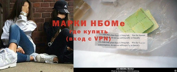 гашик Дмитриев