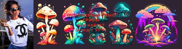 гашик Дмитриев