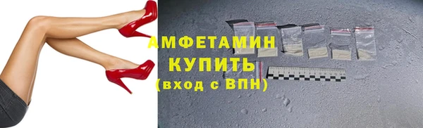 гашик Дмитриев