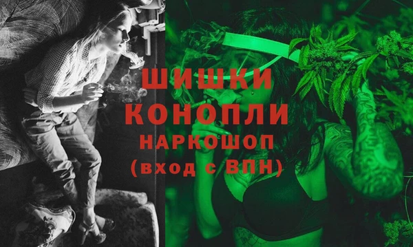 гашик Дмитриев