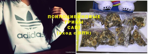 гашик Дмитриев