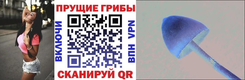 Галлюциногенные грибы Magic Shrooms  Купить  Мончегорск 